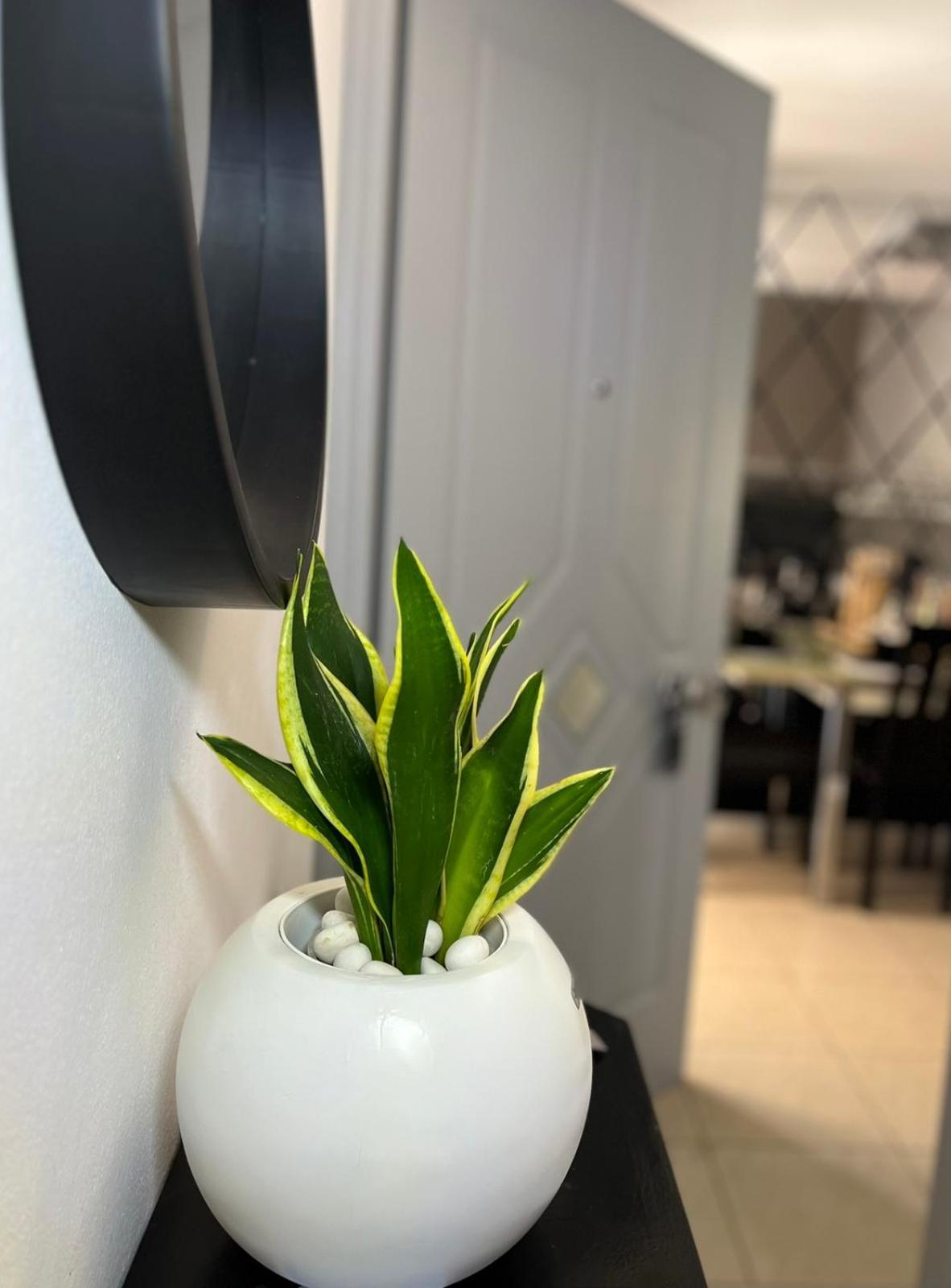 ארגוסטולי Diamond City Lux Apartment מראה חיצוני תמונה