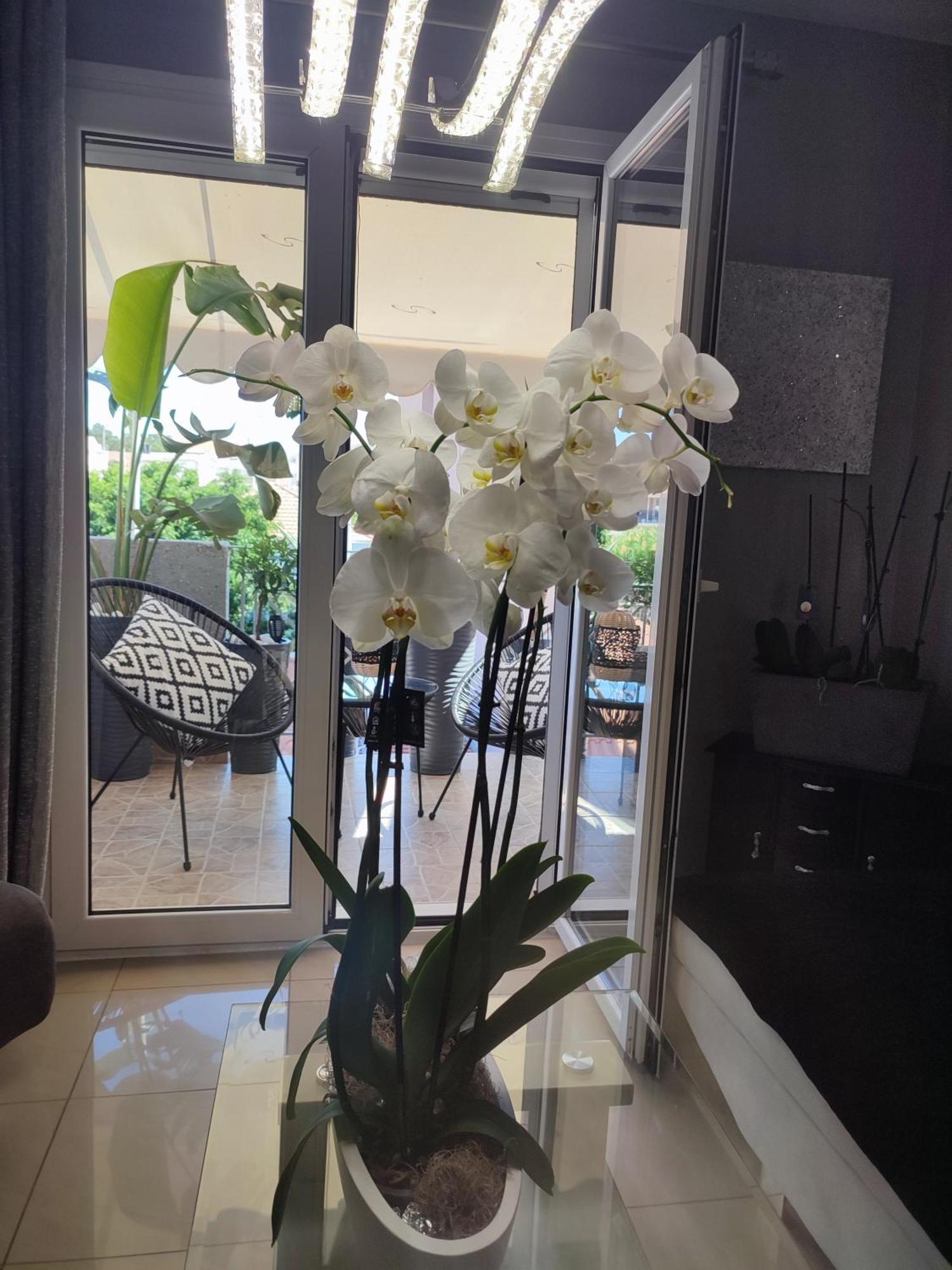 ארגוסטולי Diamond City Lux Apartment מראה חיצוני תמונה